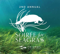 Soiree for Seagrass